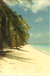 Caribbean Postcard