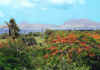 Caribbean postcard