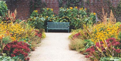Garden bench amidst the flowers