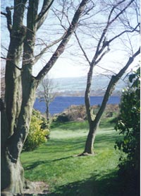 View to the lake looking west