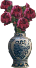 Roses are red!