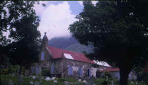 Fig Tree Church - Photo Puckering Gazette
